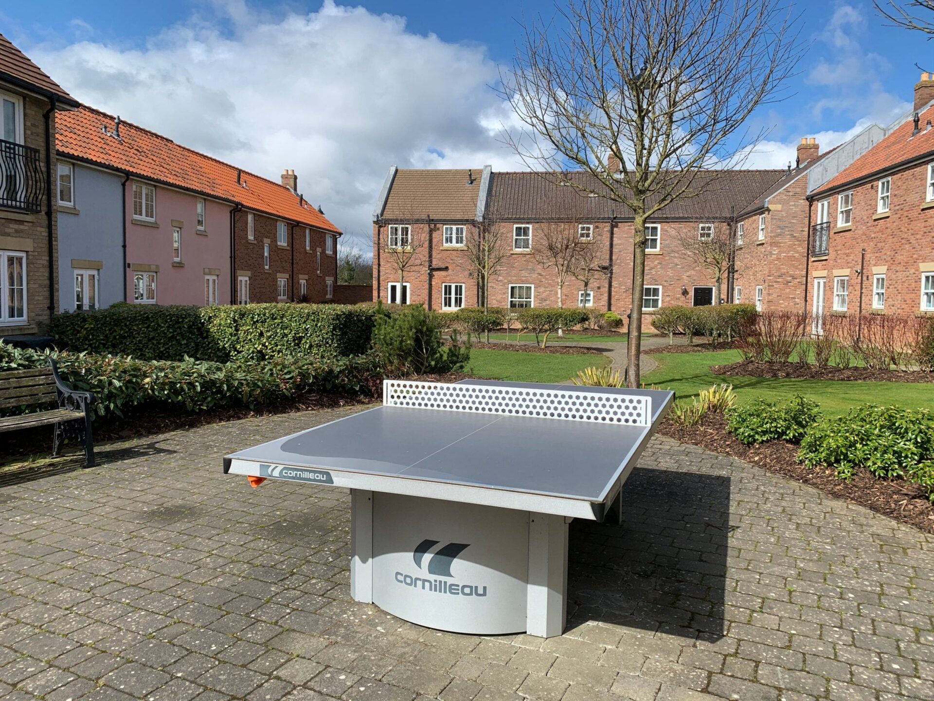 Table Tennis