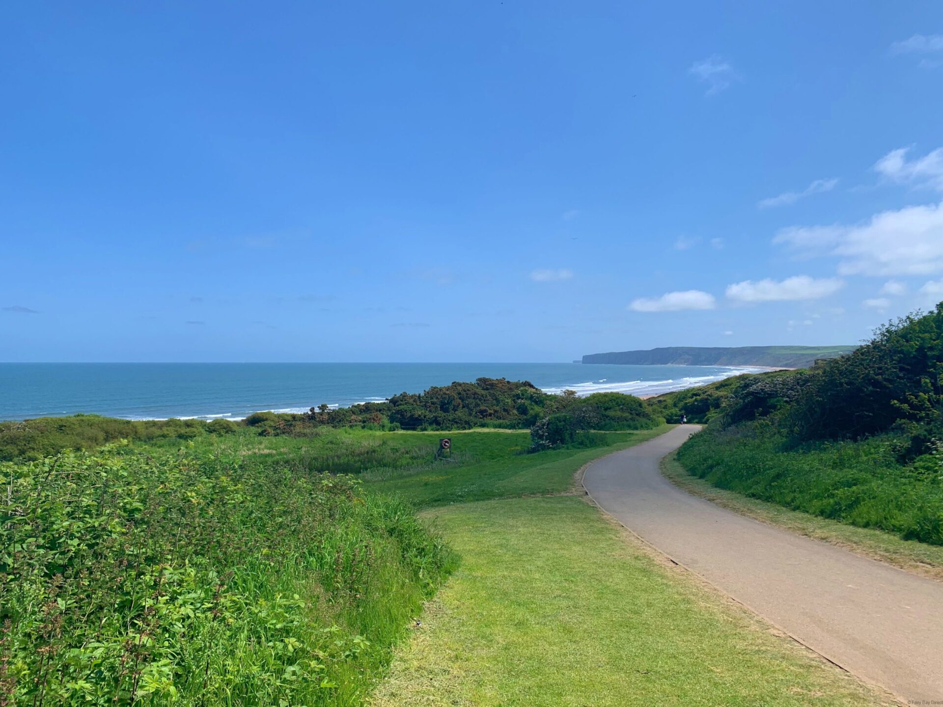 Dog Friendly Beach Walk